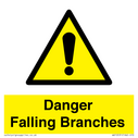 danger-falling-branches~